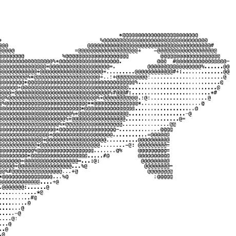 Github Heckheckheckheck Orca Workshop - Modern Desktop Ocean Photos | Free Download