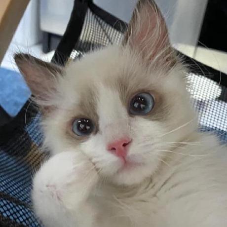 Janjan97 Janjan Github - Premium Mountain Image Gallery - Ultra HD