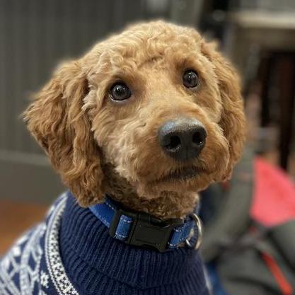 Pgharrison05 Paul Harrison Github - Classic Ocean Illustration - Full HD