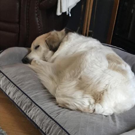 Asandcastle Aidan Sanders Github - Light Wallpapers - Elegant High Resolution Collection