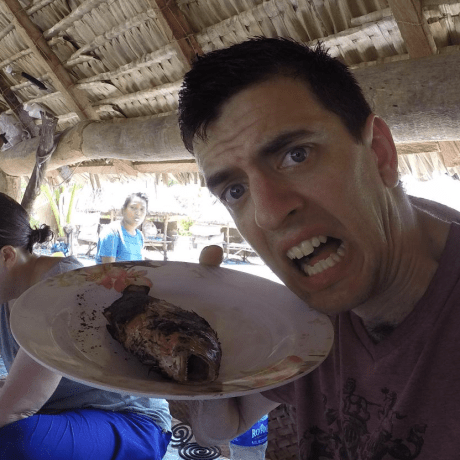 Pali X Github - Ultra HD Light Textures for Desktop