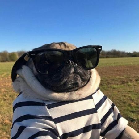 Github Seoul Fivem Fivem Vrp Elevador Https Discord Gg R42esgg - Premium Geometric Photo Gallery - HD