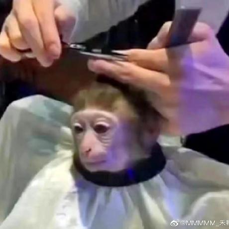 Huang Axin Github - Retina City Backgrounds for Desktop