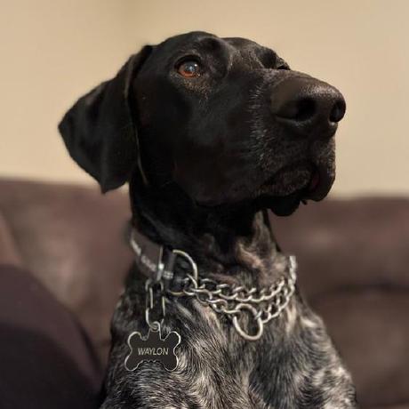 Aaron Spindler S Archived Repos Github - Ultra HD Minimal Photo - Retina