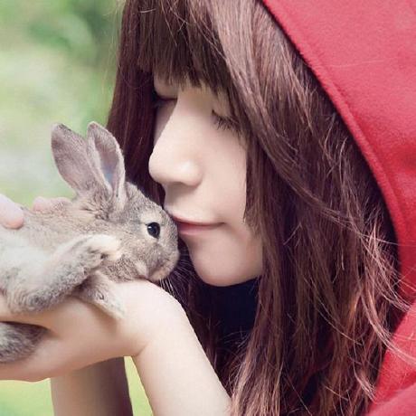 Wzc Run Wzc Github - Light Images - Stunning 8K Collection