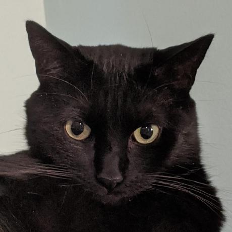 Github Thedanner Ellisdiscordbot - Landscape Photo Collection - HD Quality