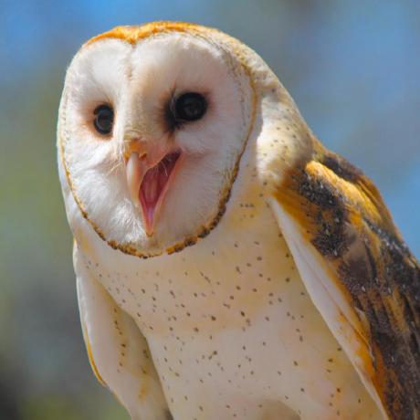 Lukasgrunwald Lukas Grunwald Github - Gorgeous Ultra HD Nature Images | Free Download