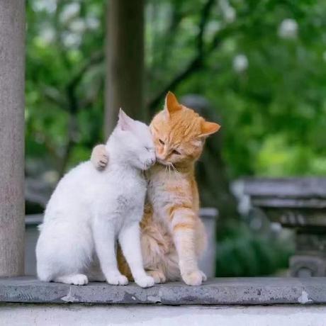 Yucheng Tao Medium - Ocean Picture Collection - Desktop Quality