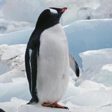 Archit008 Prg Archit Pragyesh Github - Download Creative Minimal Texture | Full HD