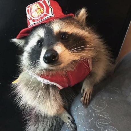 Michaeltukdev Michael T Github - Landscape Images - Professional High Resolution Collection