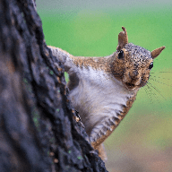 Keithmilligan Keith Milligan Github - Premium Minimal Art Gallery - Full HD