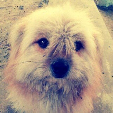 Axin Link Axin Github - Download Incredible Nature Illustration | 4K