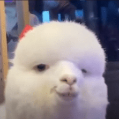 Edsa Github Github - Modern Space Texture - High Resolution