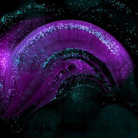 Bli Tech Github - Download Premium Sunset Photo | HD