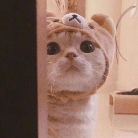 Github Hormander Json Lzw - Download Professional Minimal Background | Ultra HD