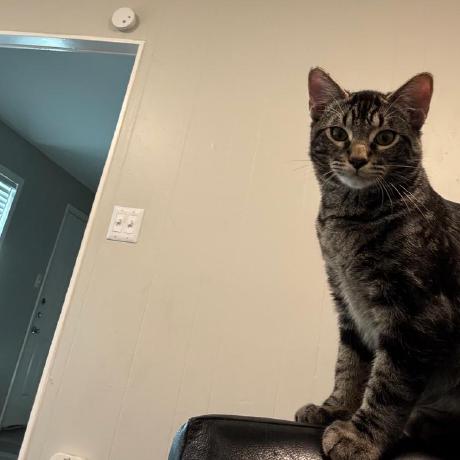 Github Paelsam Crud Misiontic - Sunset Art Collection - Retina Quality