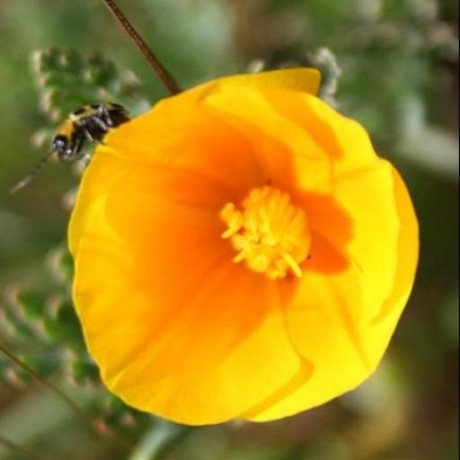 Github Groundbasesoft Vmware Open Vm Tools Official Repository Of - Best Ocean Arts in Full HD