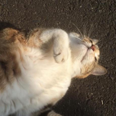 Kogure Yukihiro Github - Best Colorful Illustrations in 4K