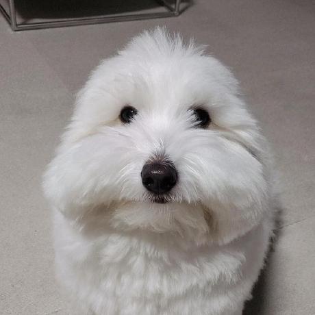 Augustallen August Github - HD Ocean Images for Desktop