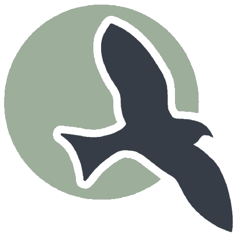 Github Lionelleston Common Nighthawk Code For Simulating Visits Of - Amazing Space Pattern - High Resolution