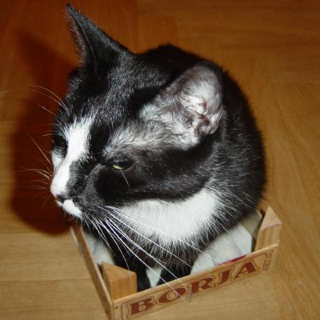 Github Apache Tika Docker Convenience Docker Images For Apache Tika - City Images - Professional Ultra HD Collection