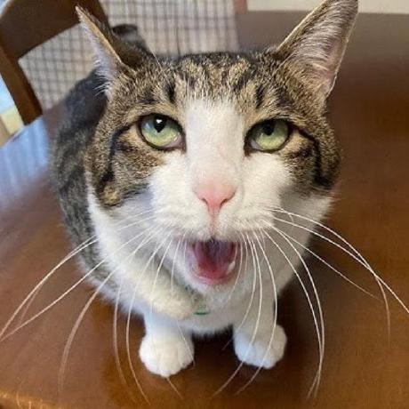 Therobotstudio Trs Github - Elegant Retina Nature Backgrounds | Free Download