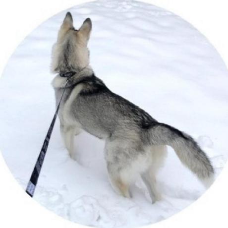 Github Tyluur Lotica This Codebase Which Branched From Matrix Was - Vintage Art Collection - HD Quality