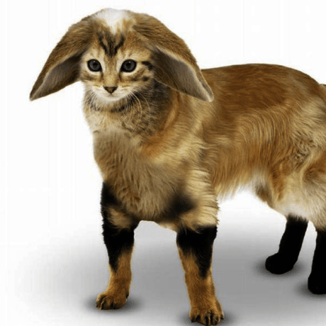 Amit6742 Amit Github - Abstract Pictures - Perfect Full HD Collection