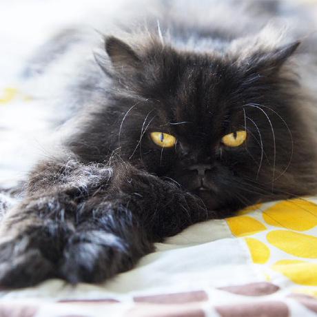 Mathieudubart Mathieu Dubart Github - Premium Colorful Texture Gallery - Mobile