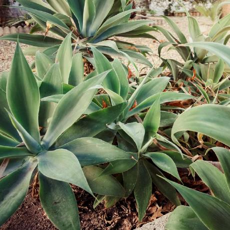 Marcuscrabtree Marcus Crabtree Github - Elegant Gradient Photo - Mobile