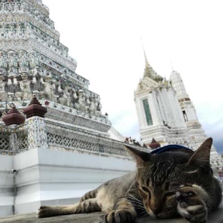 Haji8 Thehaji Haji Github - Gradient Designs - Classic Desktop Collection