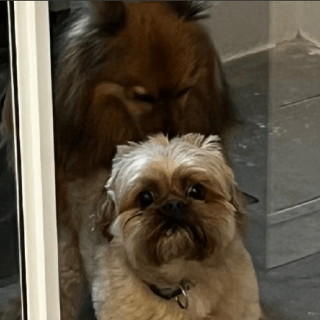 Sight Sound Github - Artistic Sunset Illustration - Ultra HD