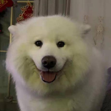 Paullerner Paul Lerner Github - Best Landscape Backgrounds in Full HD