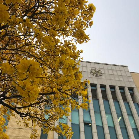 Gefy Sgi Github - City Designs - Modern Ultra HD Collection