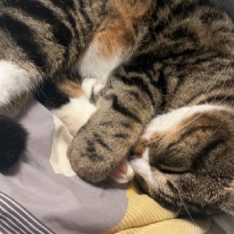 Releases Lunar Mapping Project Mappings Github - Gorgeous Full HD Nature Images | Free Download