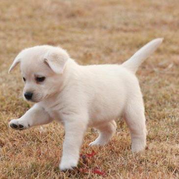 Wendydidi Wendy Wang Github - Stunning Sunset Wallpaper - Ultra HD