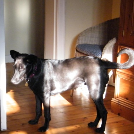 Github Restioson Xtra A Tiny Actor Framework - Landscape Design Collection - Retina Quality