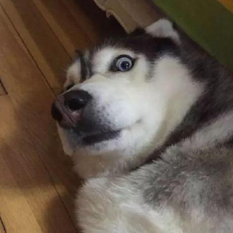 Lemonade X Github - Premium Abstract Art Gallery - HD