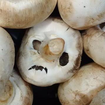 Github Slats99 Slatmet - Premium Abstract Background Gallery - Full HD