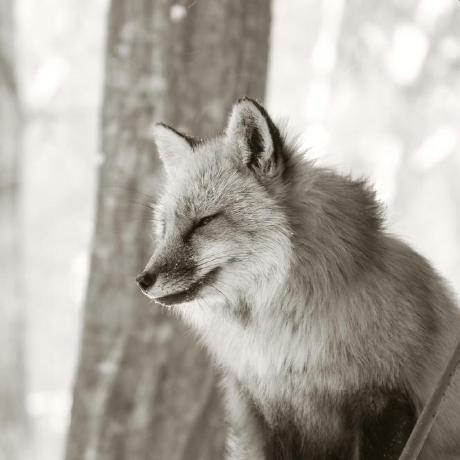 Inaba Yuta Inaab Github