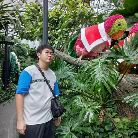 Lukashow Lukas How Github