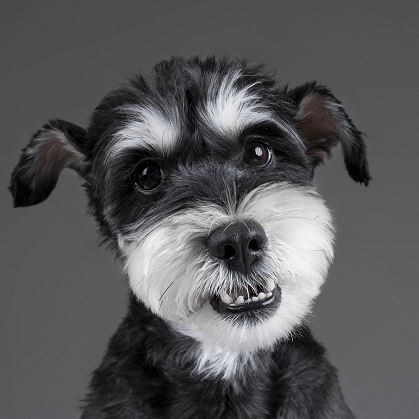 Bene It Github - Download Professional Space Photo | High Resolution