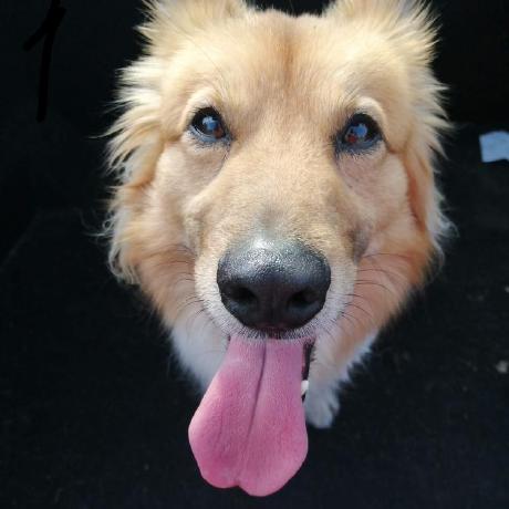 Github Kaneki0823 Ken - Desktop Abstract Photos for Desktop