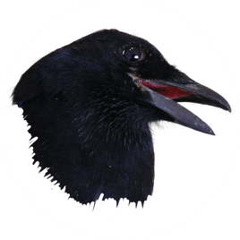 Github Rabanti Github Nanoxlsx Nanoxlsx Is A Small Net Library - 4K Ocean Illustrations for Desktop