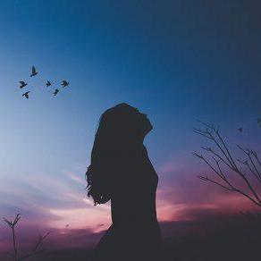 Vinptit Vi Tuong Github - Best Dark Patterns in 4K