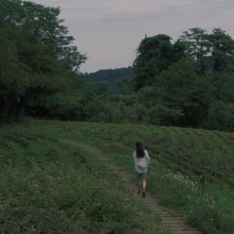 Github Chunxihan112233 Hannah Hannah - Download Perfect Sunset Wallpaper | 8K