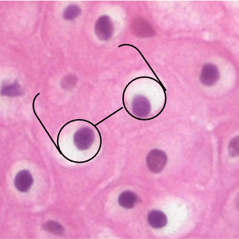 Gi Manzano Gisele Manzano Github - Premium Abstract Photo Gallery - Retina