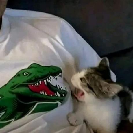 Mohandhakad7 Mohan Dhakad Github - Nature Pictures - Premium Full HD Collection