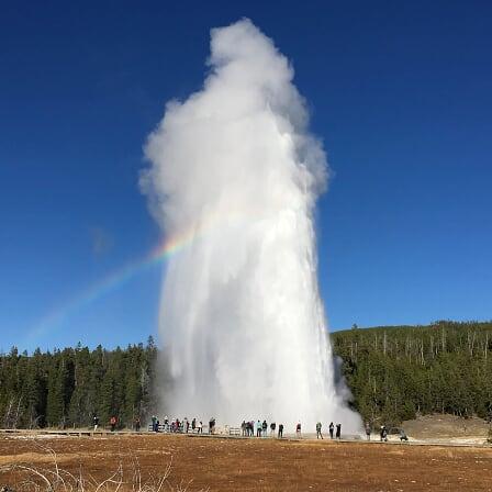 Madsendev Christoffer Madsen Github - Vintage Arts - Incredible Ultra HD Collection