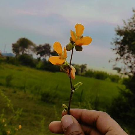 Arushi 01 Arushi Github - Light Pictures - Creative Ultra HD Collection